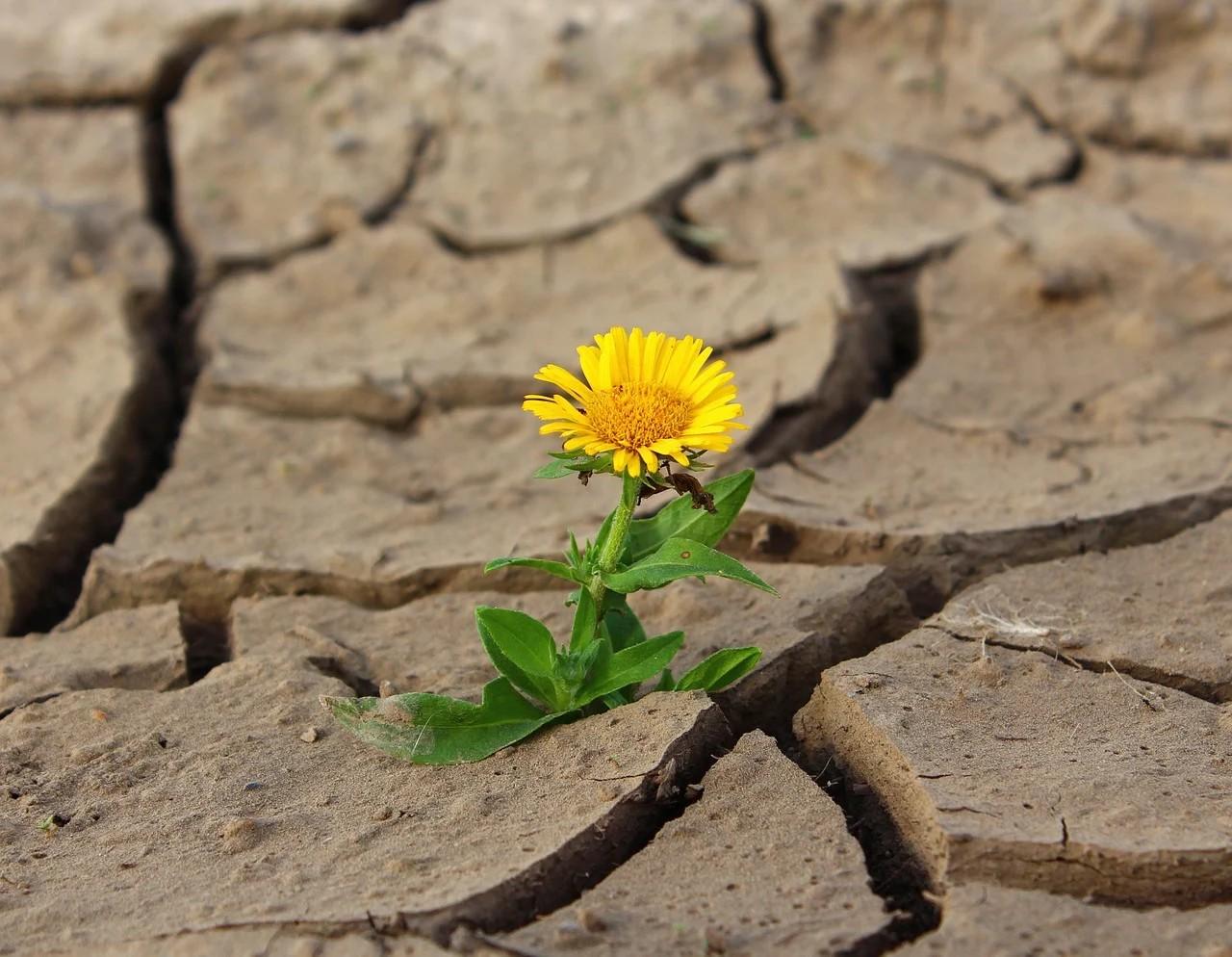 Klimaatverandering zeker geen modern probleem