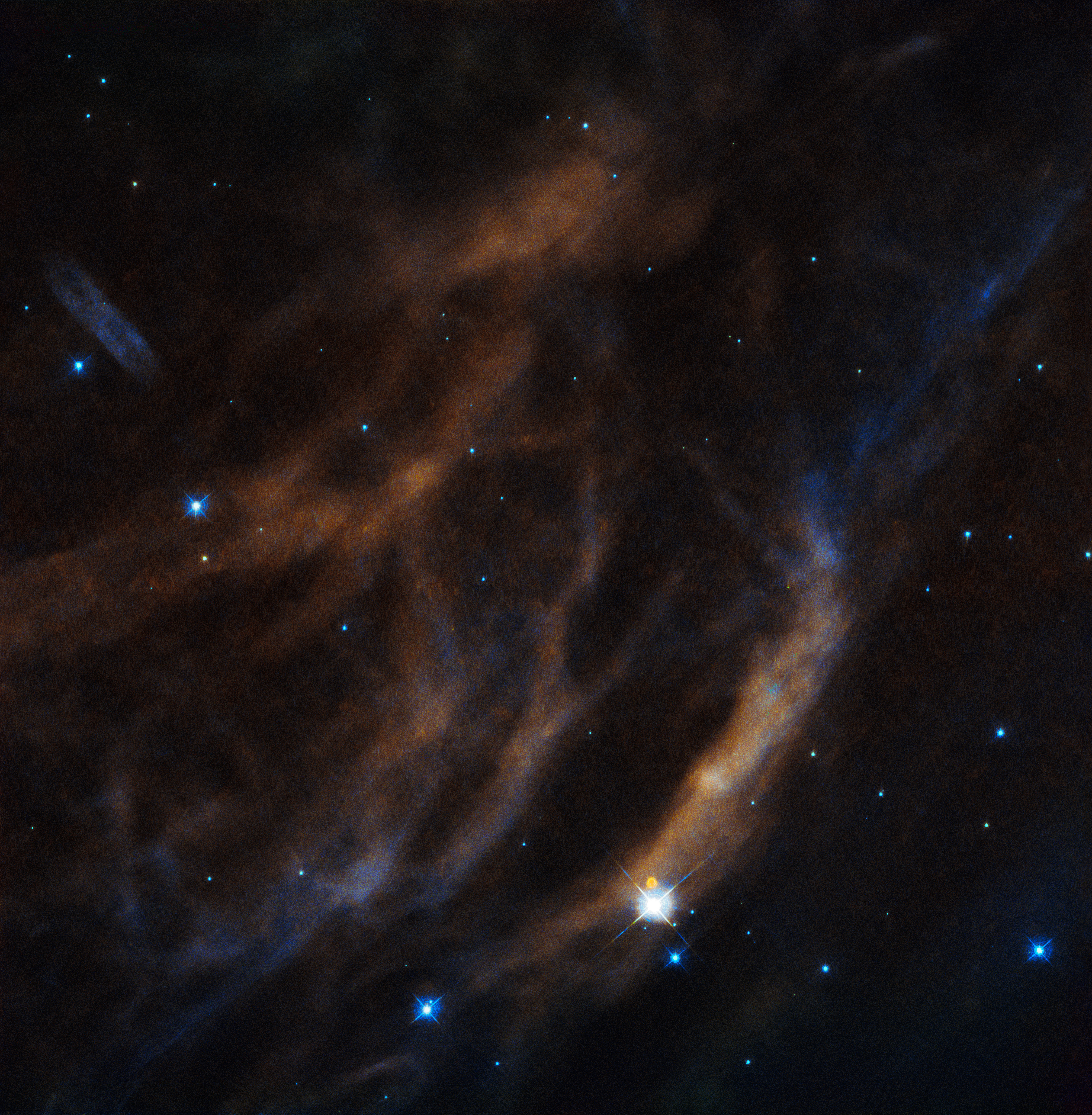 Buren aan de andere kant: Hier kijken we naar een draad van bubbel Sh2-308 gelegen in Grote Hond. Sh2-308 is gewikkeld om een immense en heldere ster.