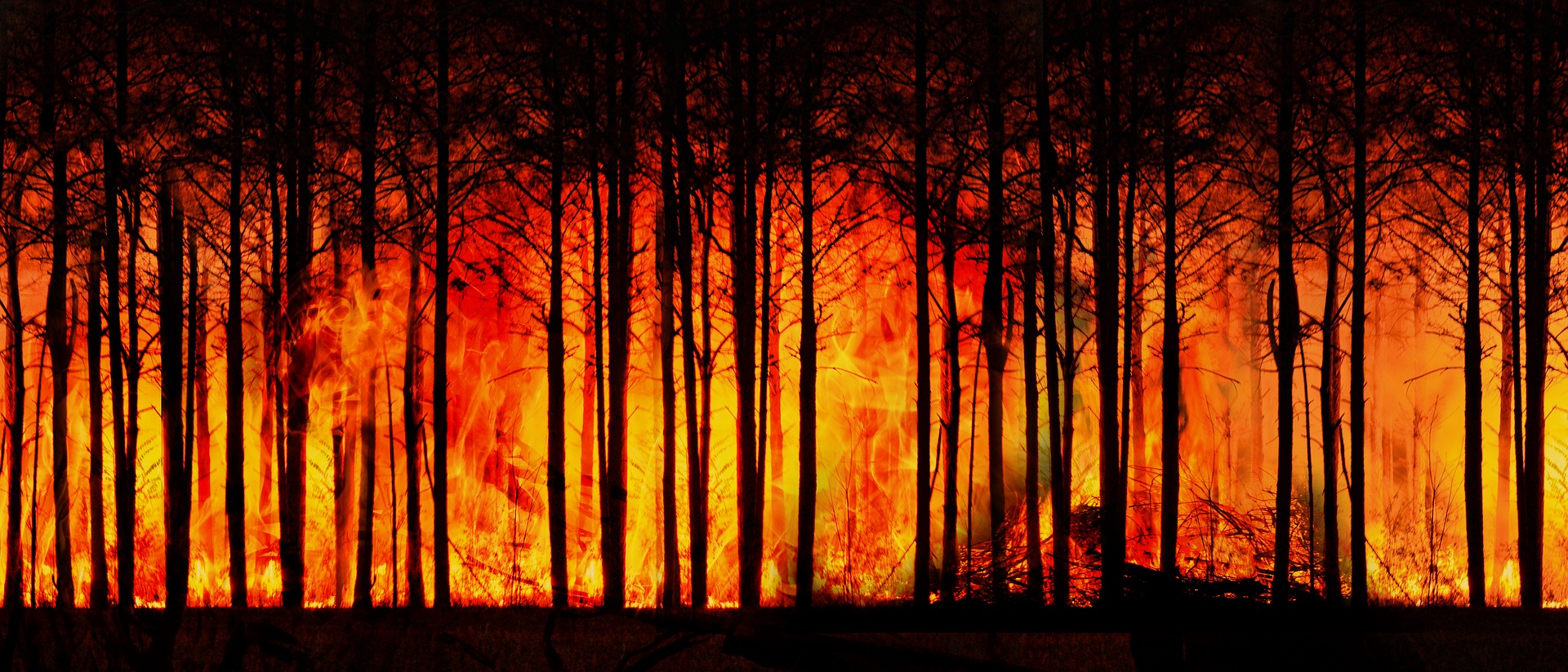 2022 was ook het recordjaar van het aantal bosbranden in de zomer. Vooral de brandweer in Slovenië en Spanje waren druk.
